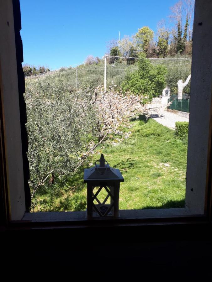 Bed and Breakfast La Collina Olistica Tregnago Zewnętrze zdjęcie