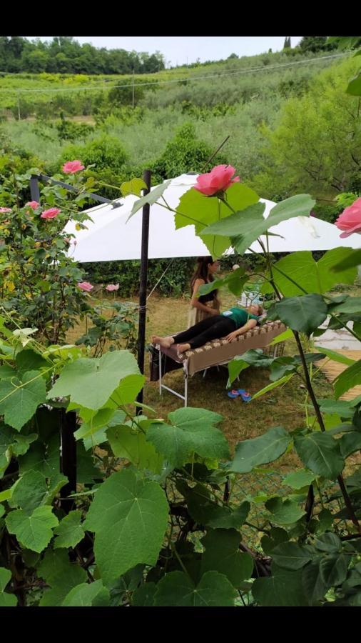 Bed and Breakfast La Collina Olistica Tregnago Zewnętrze zdjęcie
